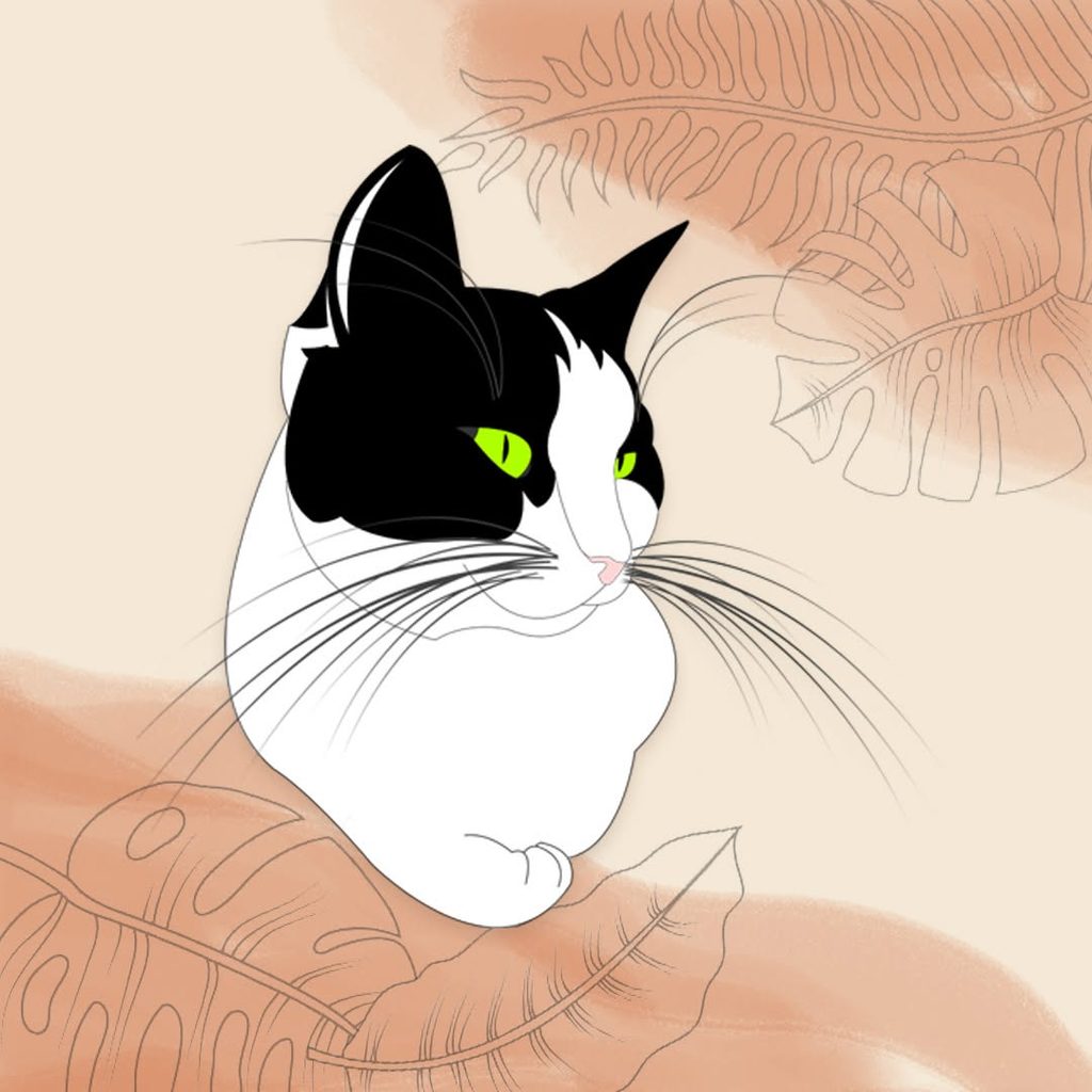 Alleycat Design