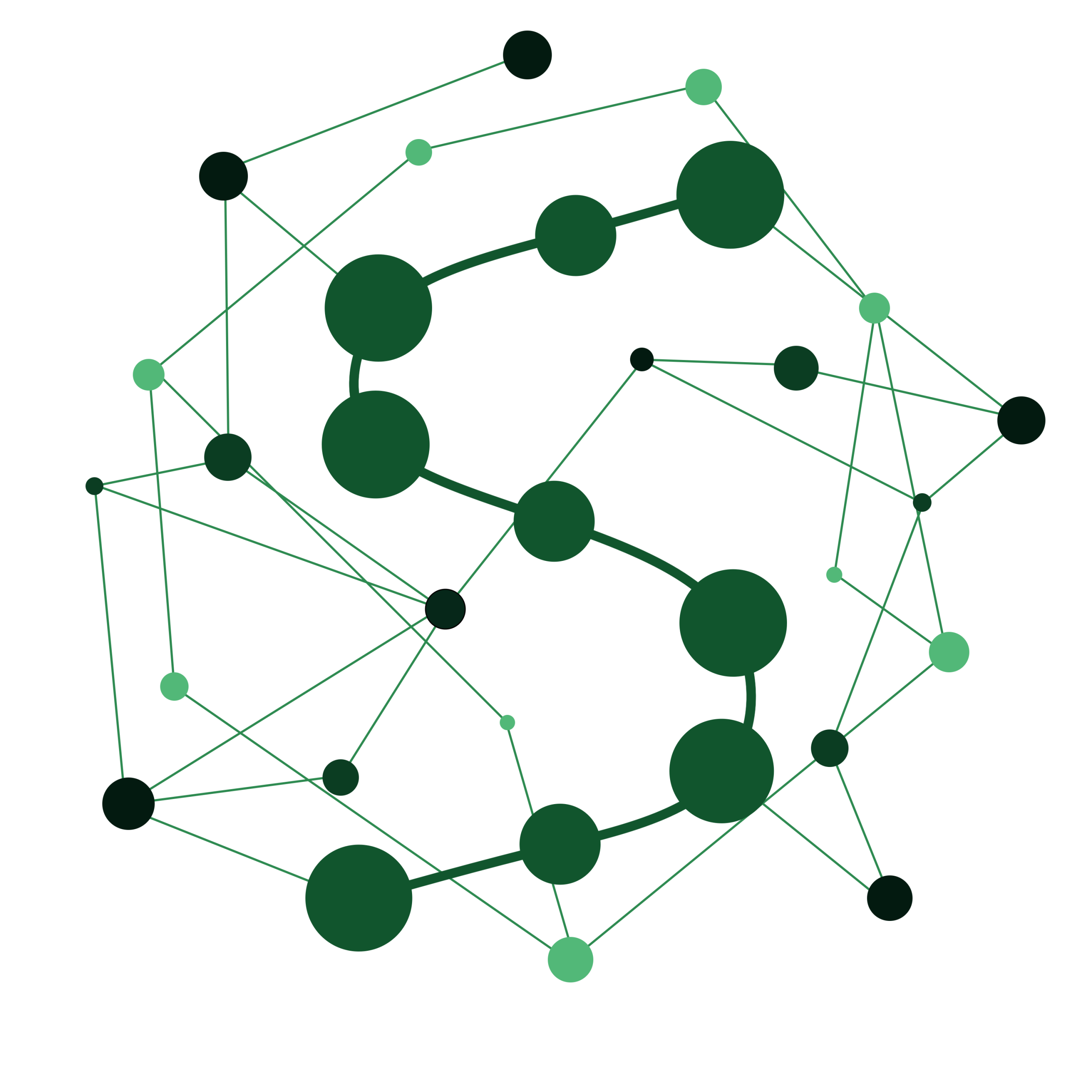 Silmoris Solutions